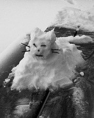 Snow Cat von Mr. Ducke