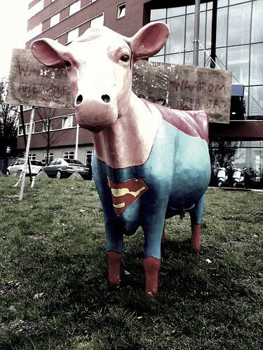 SuperCow! 
