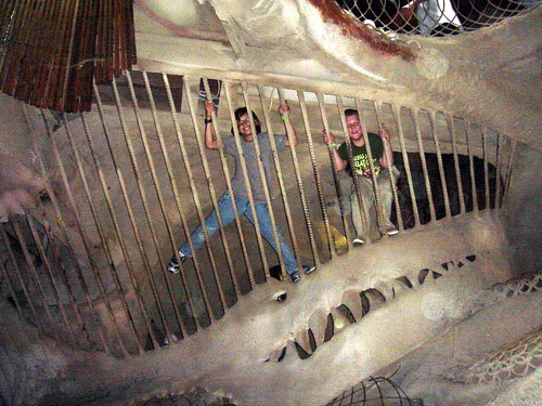 hanging at the city museum