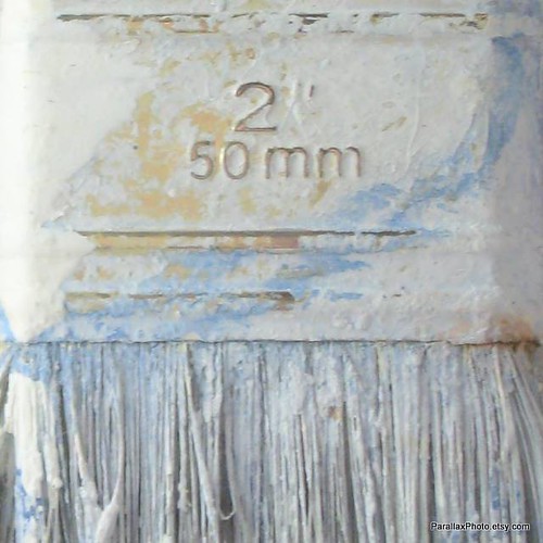 macro photograph paint brush detail
