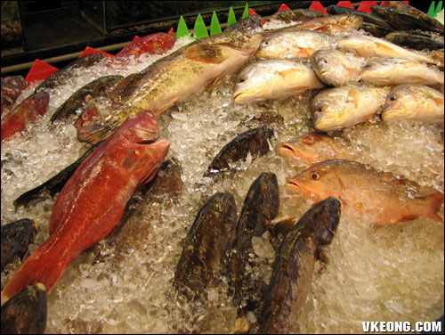 fish selection