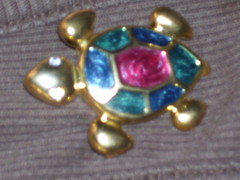 Upclose of the turtle pin