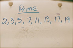 Prime numbers!
