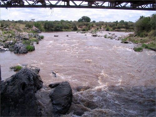 你拍攝的 68 Mara River。