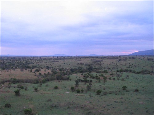 你拍攝的 6 Masai Mara - Balloon Safari Sunrise。