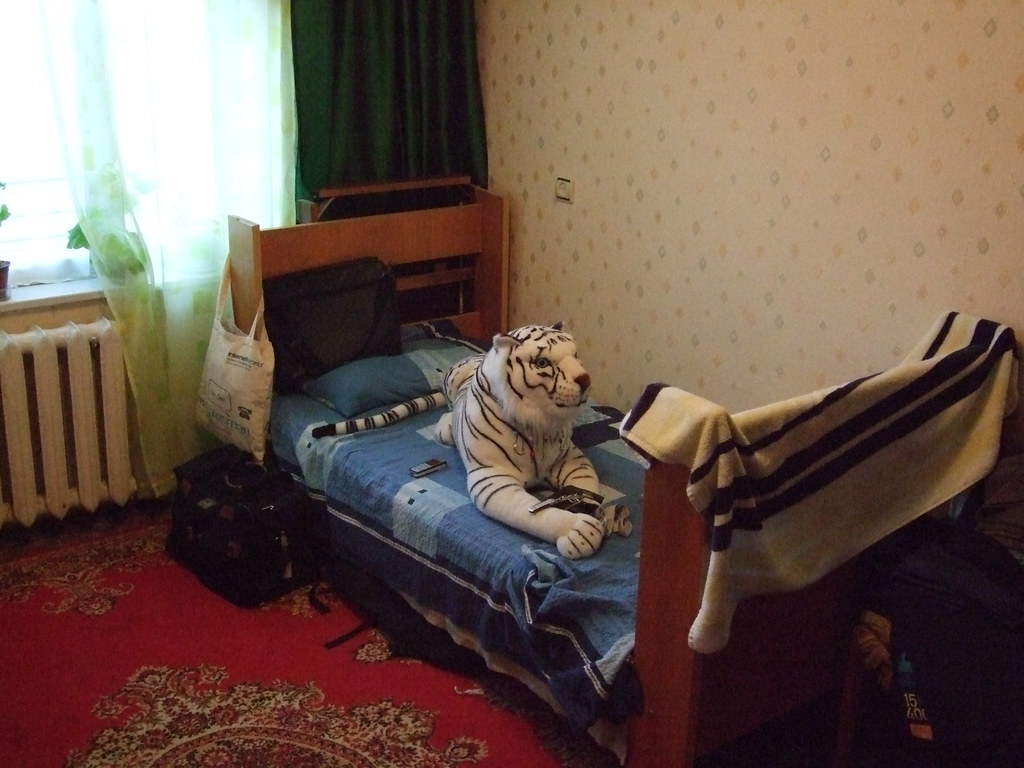 : Where I slept (but without the tiger)