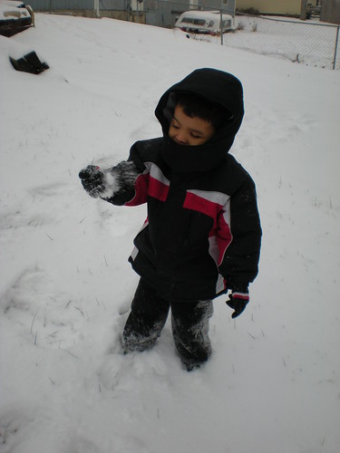 Elkin's First Snow