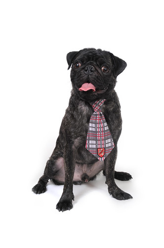 red plaid tie. Gray Plaid Tie with Adjustable