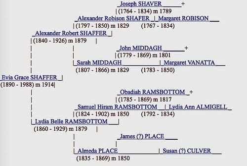 Evia Shaffer's genealogy
