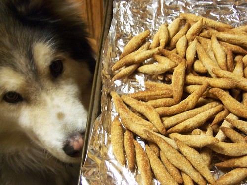 homemade dog treats