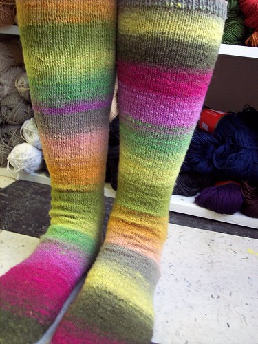 rainbow socks by you.