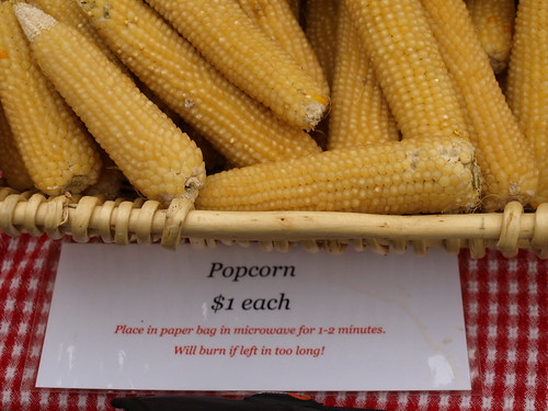 popping corn