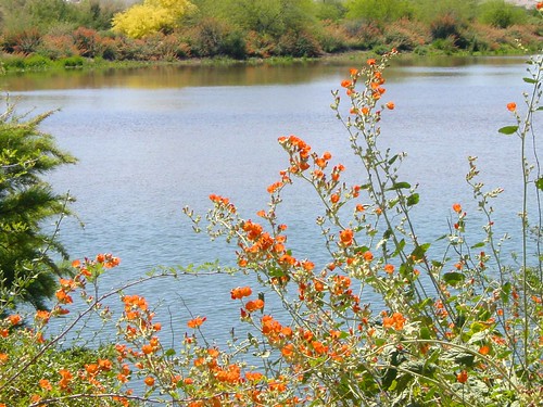 Arizona Urban Lakes - Water Ranch