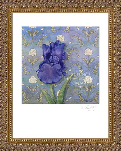 Quiet Night Purple Iris by Elizabeth Ruffing Print Framed
