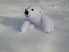 Polar Bear 6