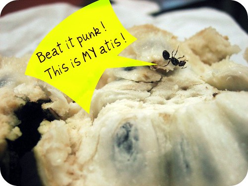 Ant in my Atis