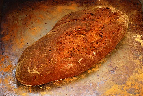 Chewy Light Rye Bread