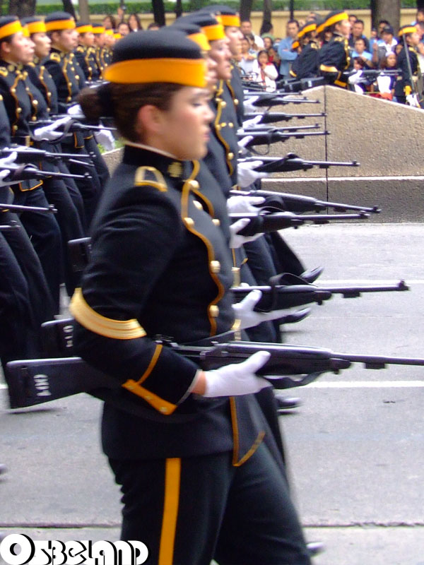 Desfile Militar 