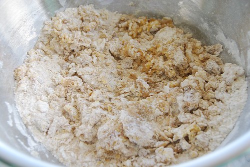 the beginning of the biscotti dough