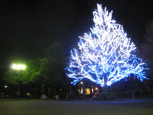 Christmas decoration outside Ueno Park