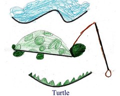 turtle on a leash 3