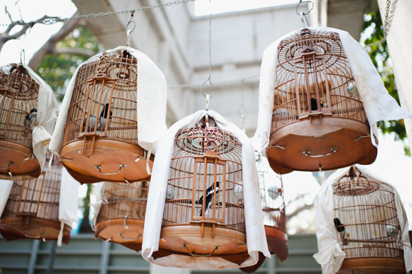 beautiful birdcages