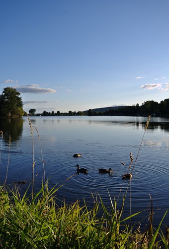 Dwyer Park on Little York Lake (by john_brainard)