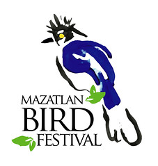 Mazatlan Bird Festival