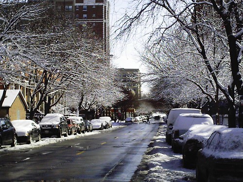 Pratt Ave Snow Trees