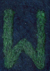 Alphabet ATC or ACEO Available - Needlefelted Letter W