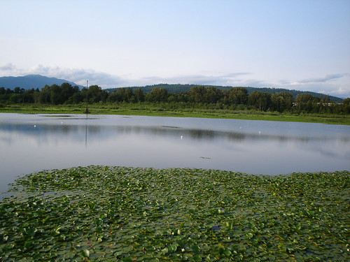 Burnaby Lake Park