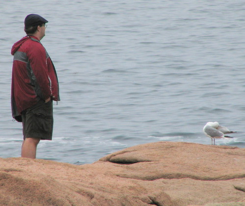 Ian and the Seagull