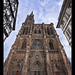 Strasbourg Cathedral (DRI)