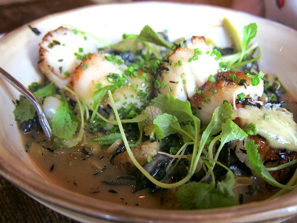 Amazing scallops from Bistro Europa