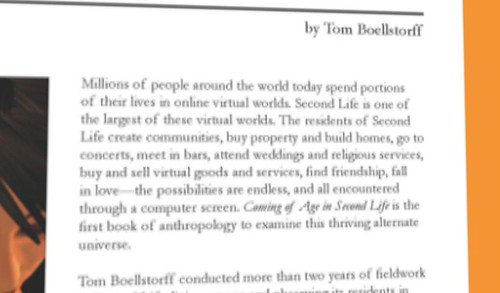 Tom Boellstorff
