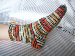 Tiger Sock
