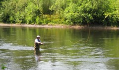 dad fishing on the McKenzie