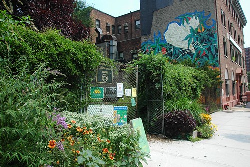 Brooklyn Bear's Carlton Avenue Garden