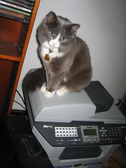 Mitsuru on printer