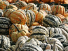 Pumpkin abundance