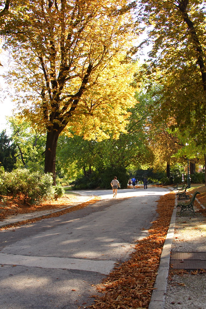 Fall Scene in Parc Montsouris Paris