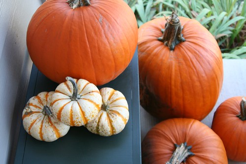 week in the life : pumpkins on the porch by you.