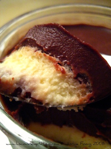 Chocolate and Vanilla Cheesecake