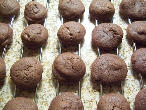 2009-01-10 Kea's Cookies 1