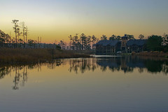 the Chesapeake shoreline (by: Brian Gratwicke, creative commons license)