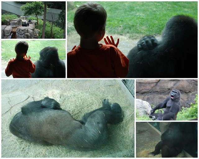 Zoo in May 20115