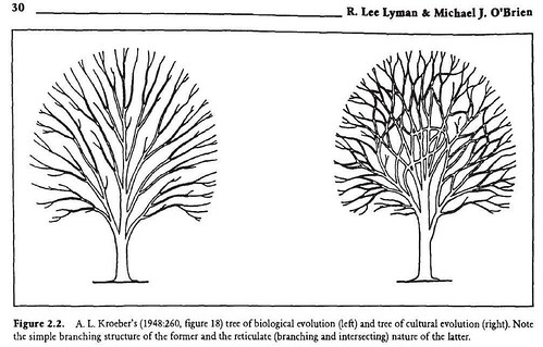 Kroebers trees