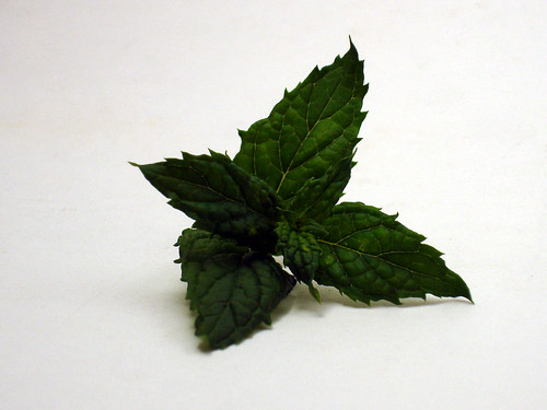 Spearmint leaves photo