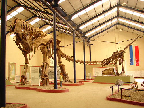 Paleontological and Geological Tourism in Neuquén