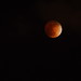 Lunar eclipse - 03